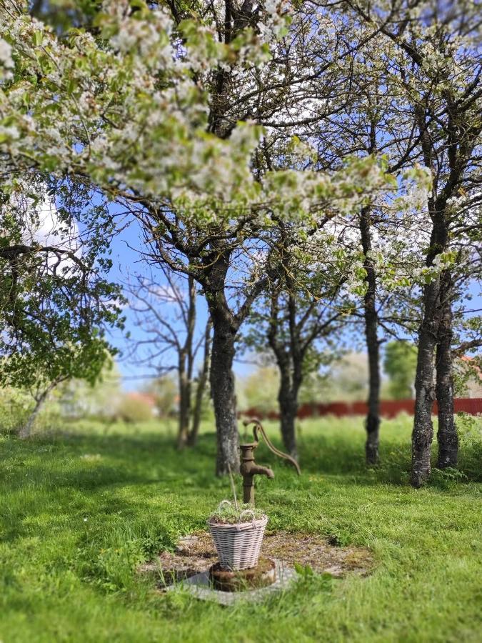 Gothem Viby Bed&Breakfast Slite Buitenkant foto